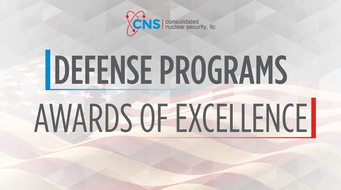 Defense Programs Awards of Excellence
